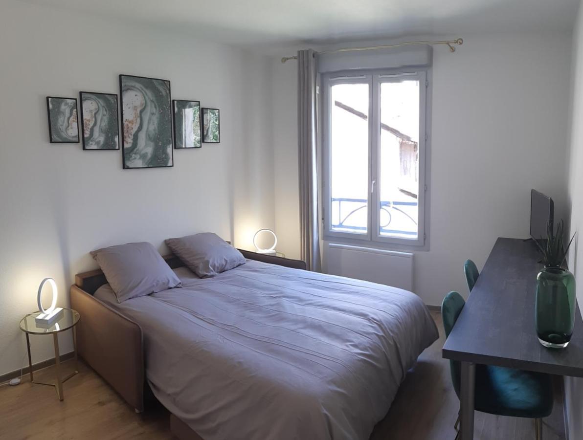 Berge Du Rhone, Centre Lyon, Espace De Travail, Tout A Pied, Universite Lyon 2 Et Lyon 3, Ideal Voyage D'Affaires, Tourisme, Loisirs Zewnętrze zdjęcie